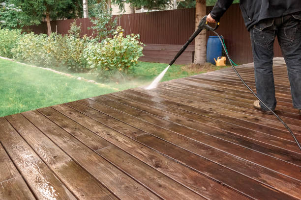 Best Roof Washing  in Wadena, MN